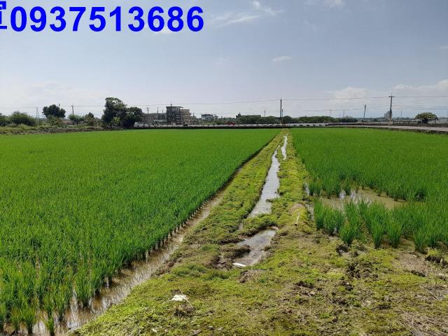 宜蘭礁溪農地-6