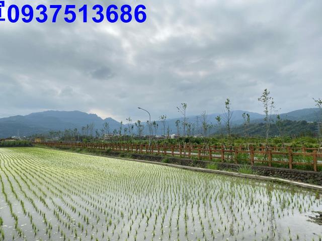 宜蘭宜蘭市農地-5