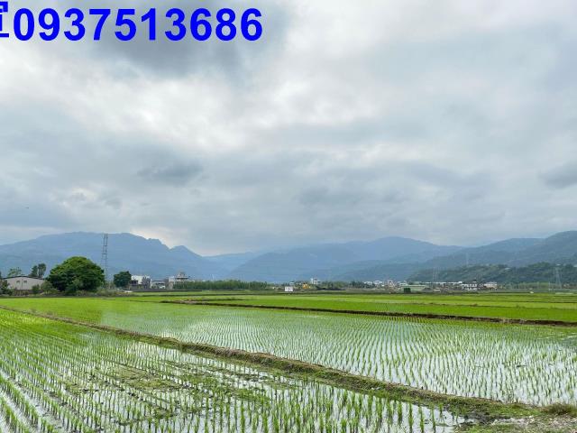 宜蘭宜蘭市農地-6