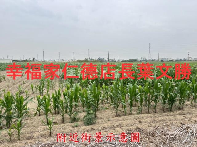 台南農地-12