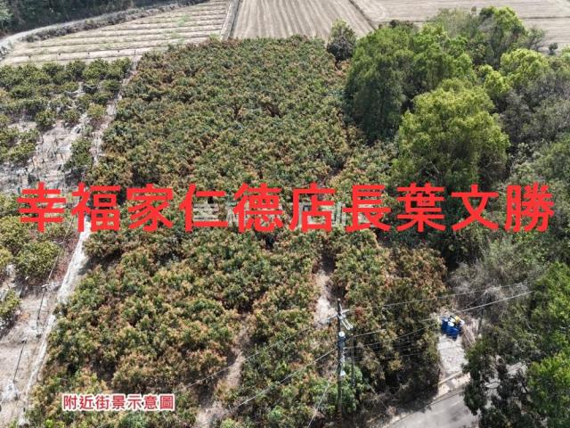 台南官田農地-11