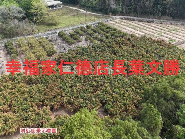 台南官田農地-4