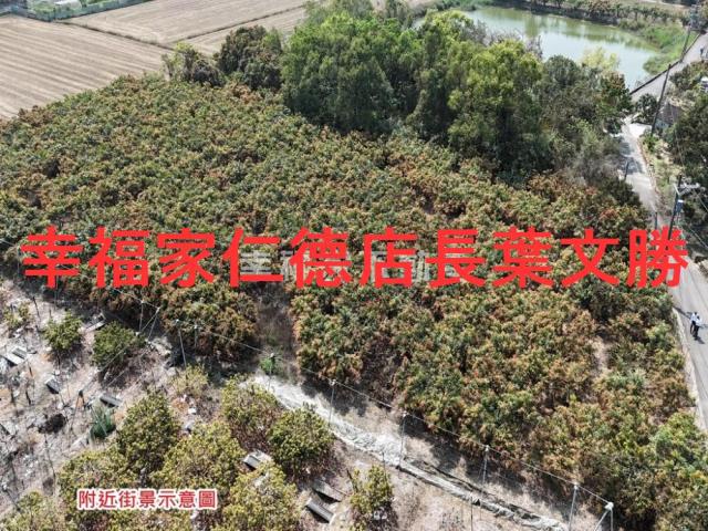 台南官田農地-5