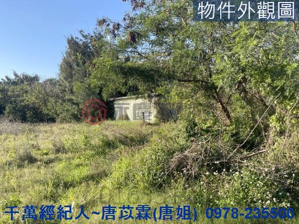 新竹竹北農地-2