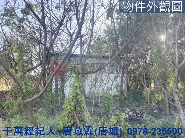 新竹竹北農地-5