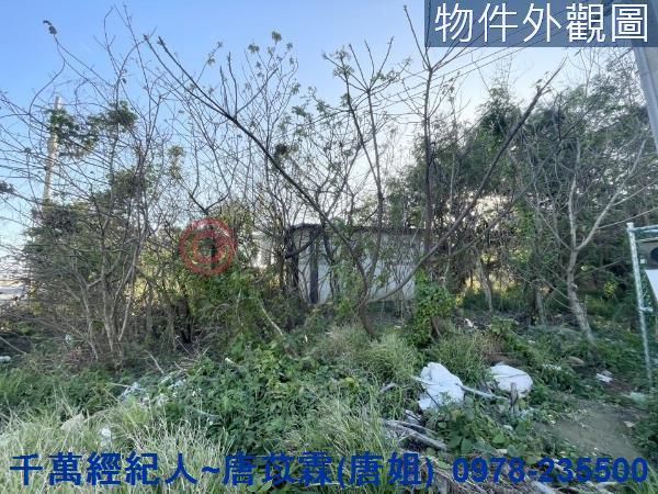 新竹竹北農地-8