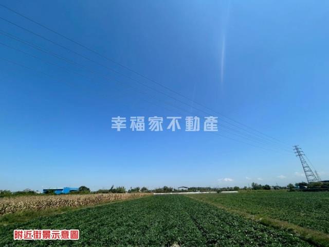 台南新化農地-14
