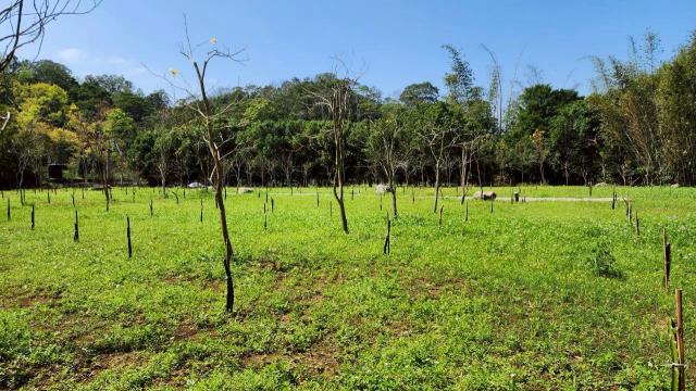 新竹橫山農地-3