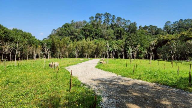 新竹橫山農地-9