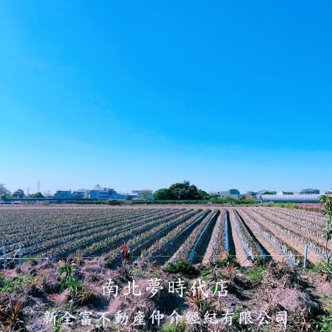 台南山上農地-6