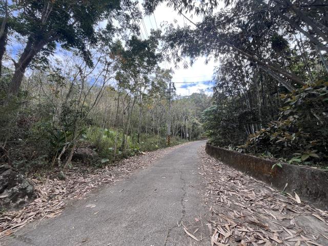 南投鹿谷農地-6