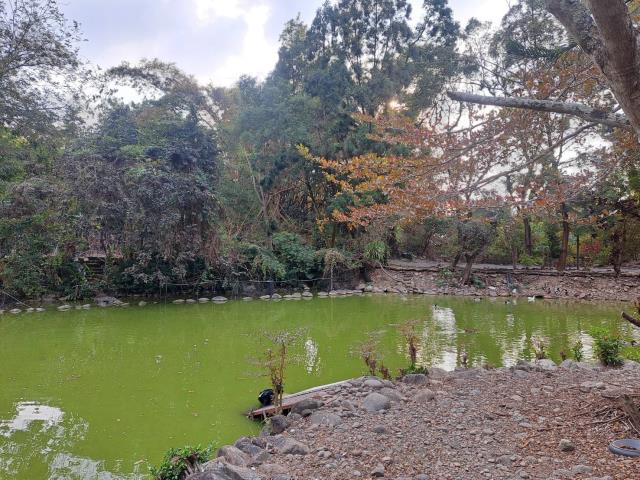 南投竹山農地-7