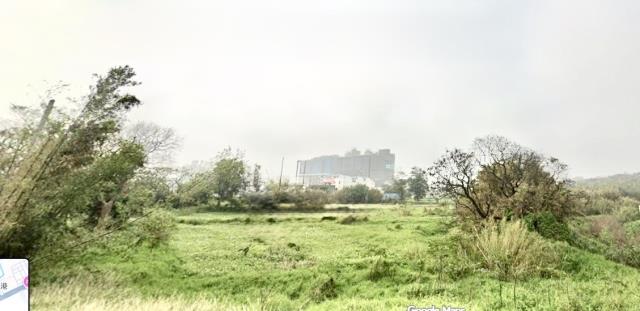 桃園大園農地-1