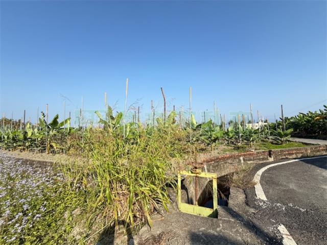 高雄美濃農地-4