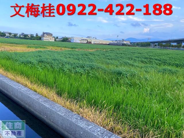 宜蘭羅東農地-1