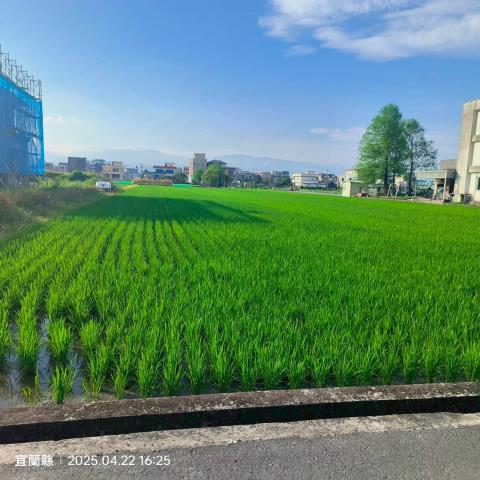 宜蘭農地-2