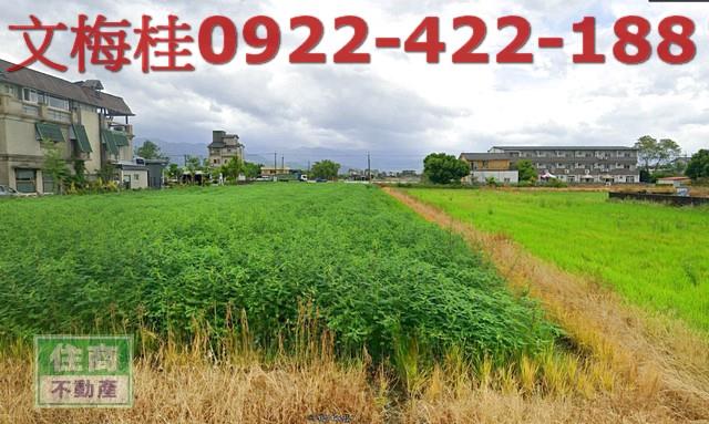 宜蘭三星農地-2