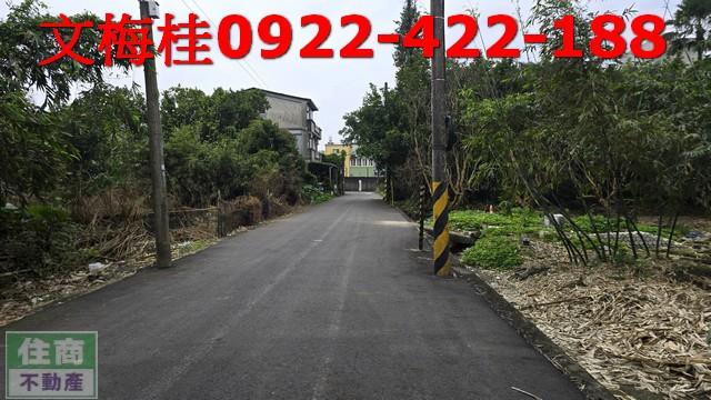 宜蘭宜蘭市農地-5