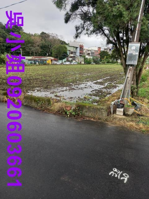 大溪農地-6