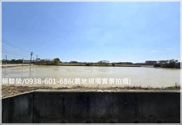 桃園觀音保興路農保田