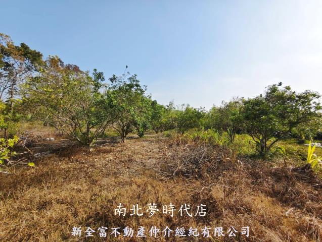 台南左鎮農地-2