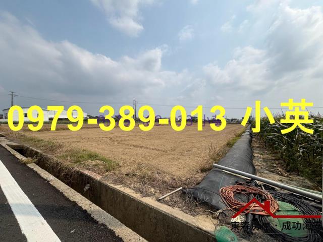 台南新市農地-5