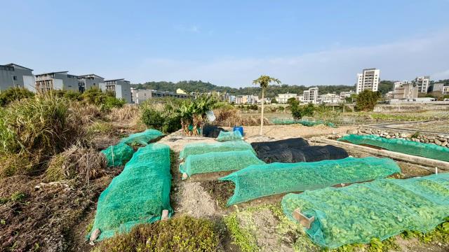 新竹芎林農地-2