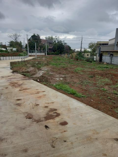 桃園平鎮農地-4