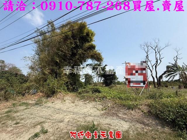 台南新市農地-3