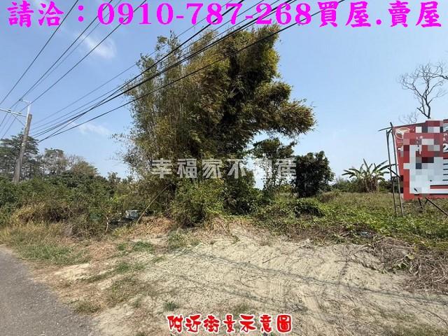 台南新市農地-5