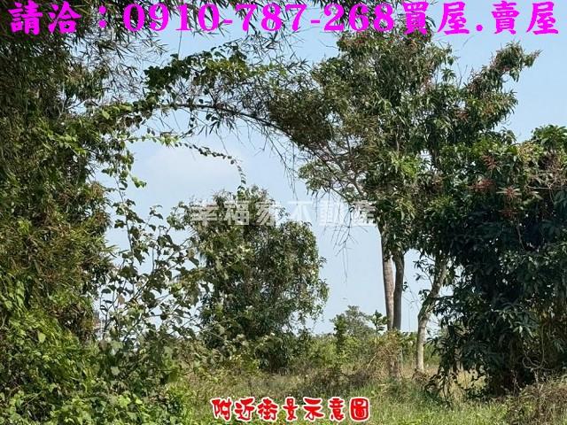 台南新市農地-7