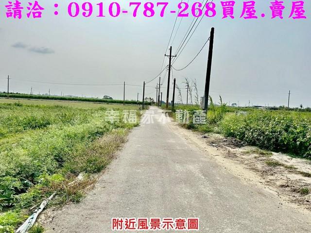 台南善化農地-1