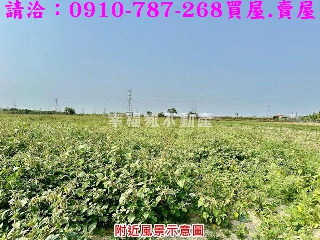 台南善化農地-3