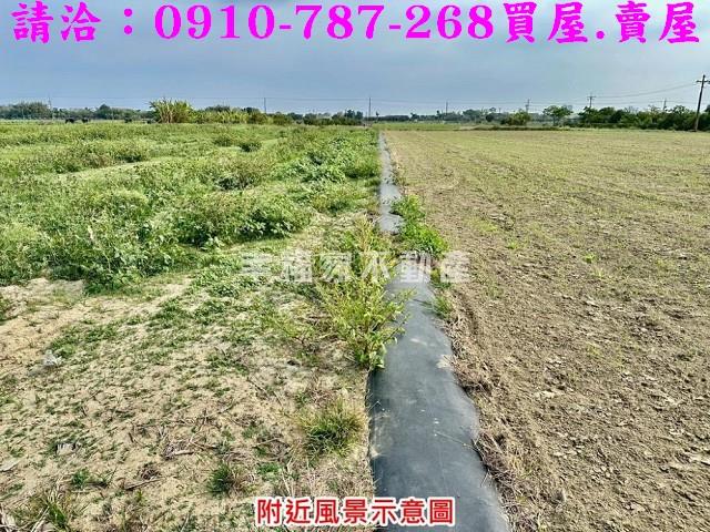 台南善化農地-8