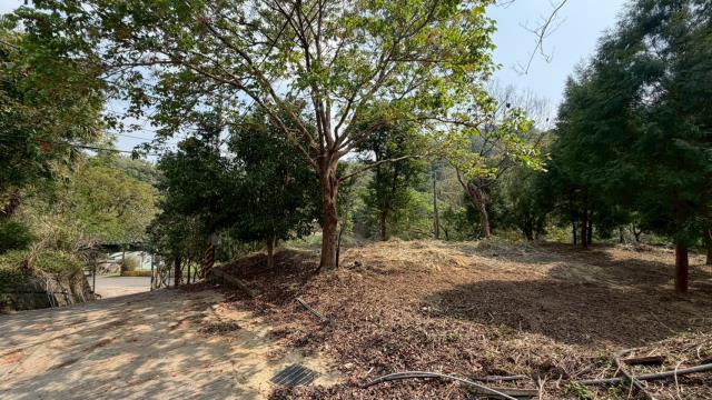 新竹北埔農地-1