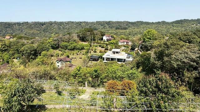 新竹關西農地-14