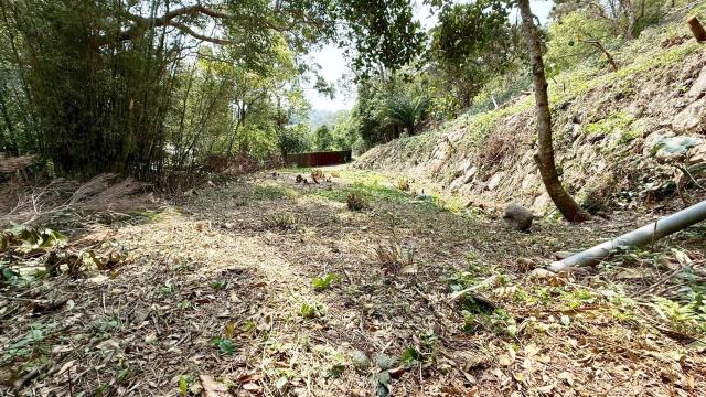 新竹關西農地-10