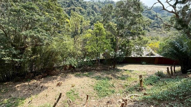 新竹關西農地-13