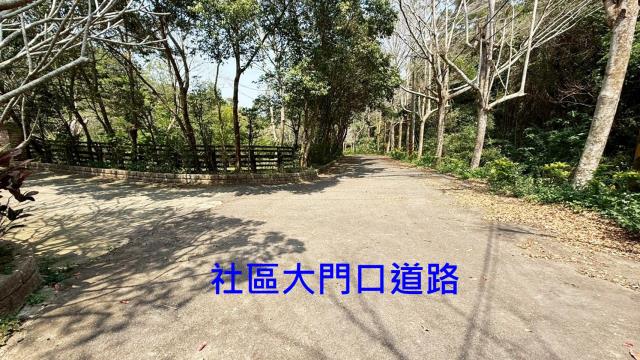 新竹關西農地-15