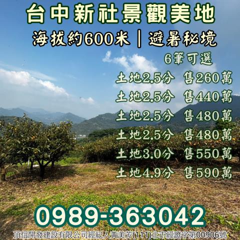 台中新社農地-13