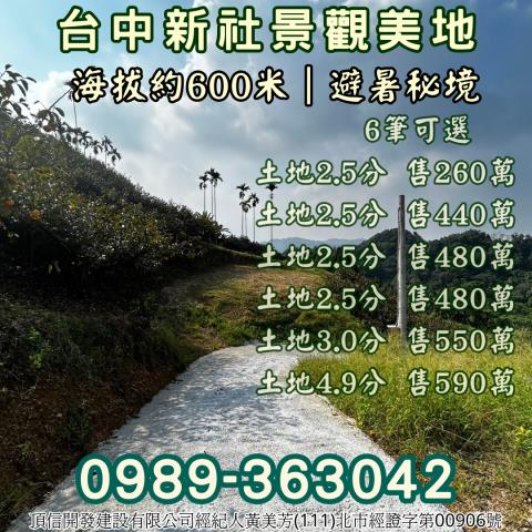 台中新社農地-8