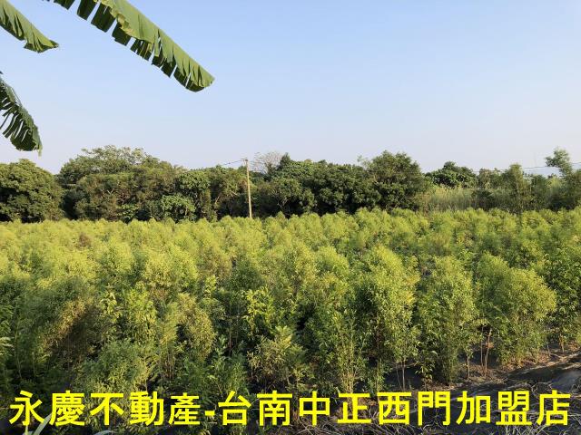 台南玉井農地-10