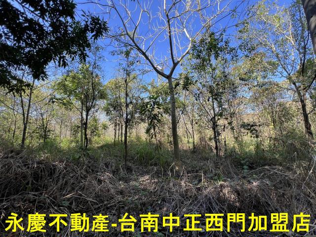 台南玉井農地-6