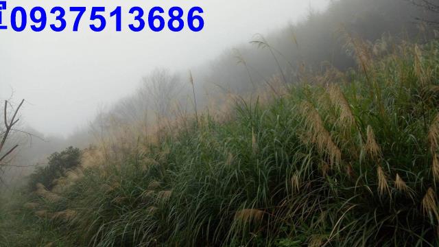 新竹原住民保留地-14