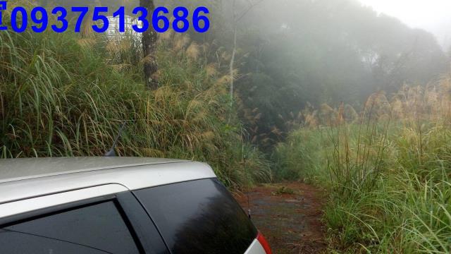 新竹原住民保留地-2