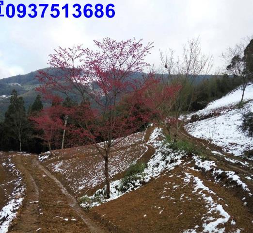 新竹原住民保留地-7