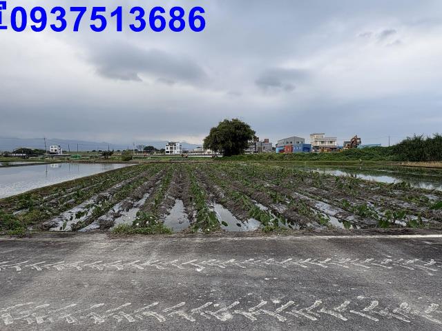 宜蘭五結農地-1