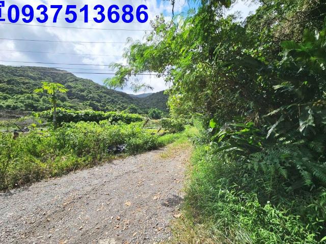 宜蘭頭城山坡地-12