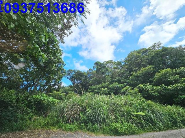 宜蘭頭城山坡地-3