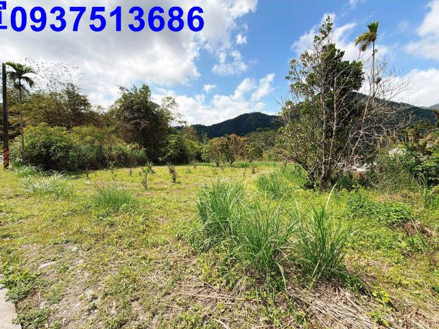 宜蘭員山農地-8